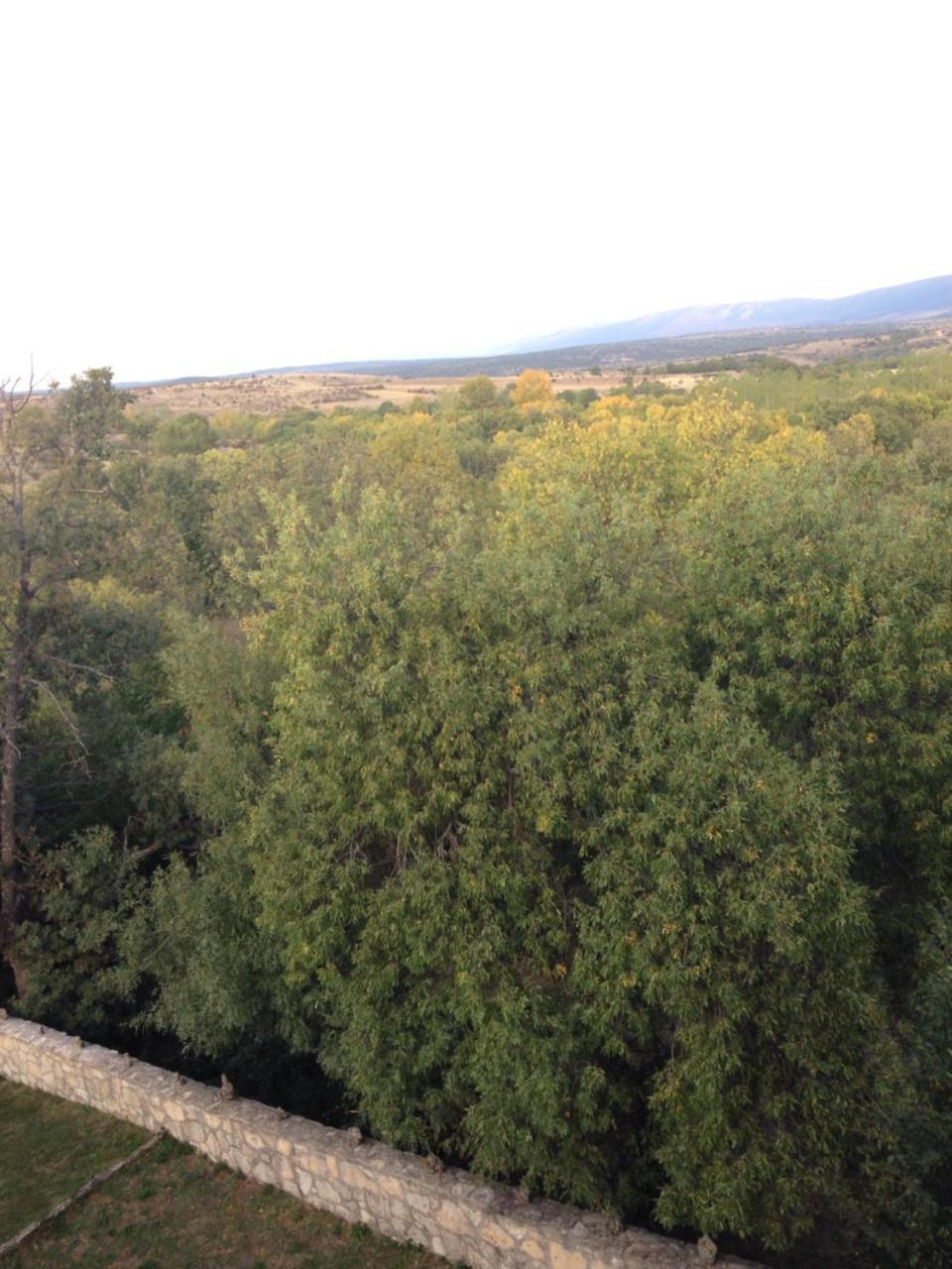 Apartamento Rural La Muralla De Pedraza Chavida Exteriör bild